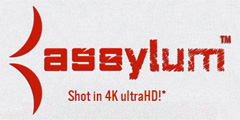 Assylum