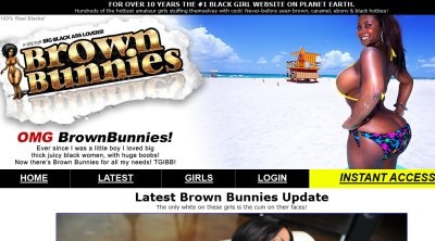 Brown Bunnies